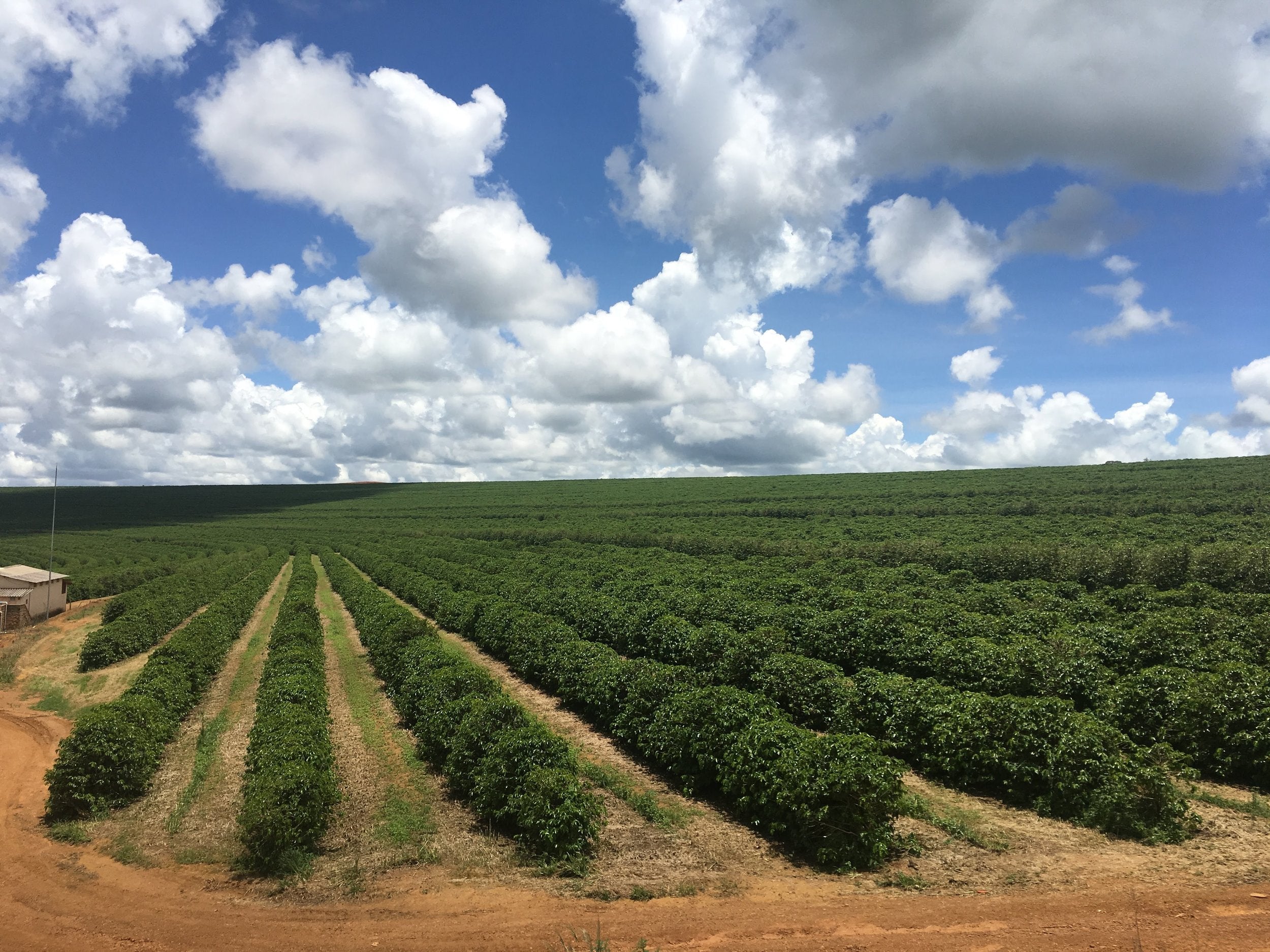 Brazil Origin Trip