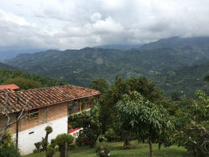 Colombian Origin Trip - Notes from the Farm
