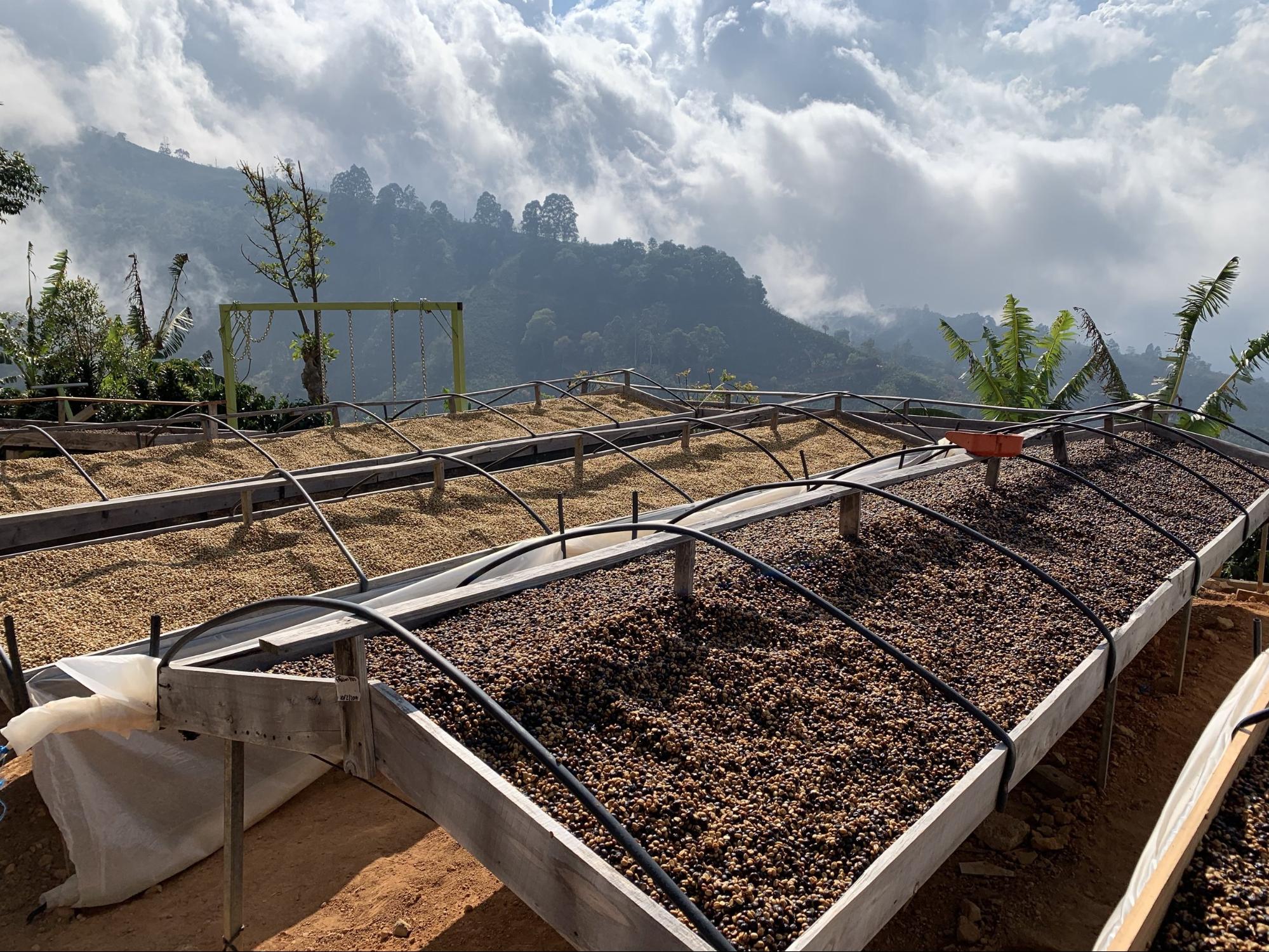 Single Origin Subscription
